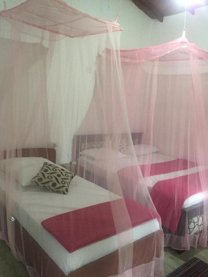 Silent Nest Bed & Breakfast Ела Екстериор снимка