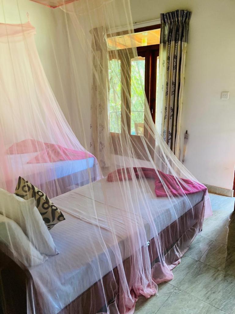 Silent Nest Bed & Breakfast Ела Екстериор снимка