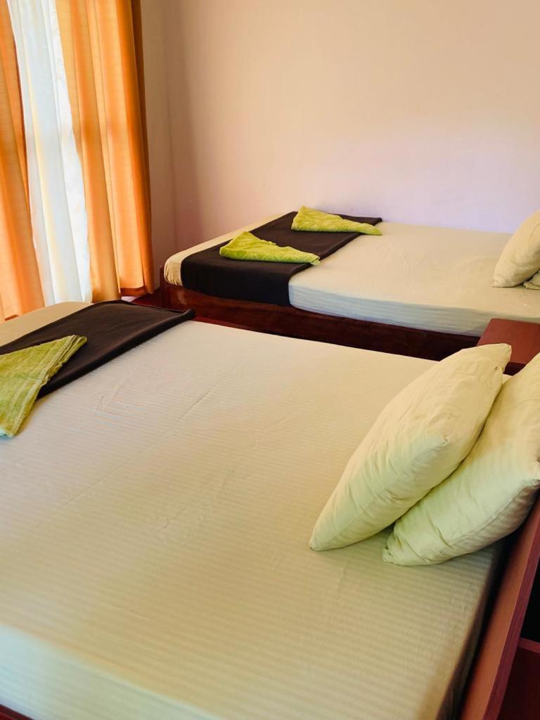 Silent Nest Bed & Breakfast Ела Екстериор снимка